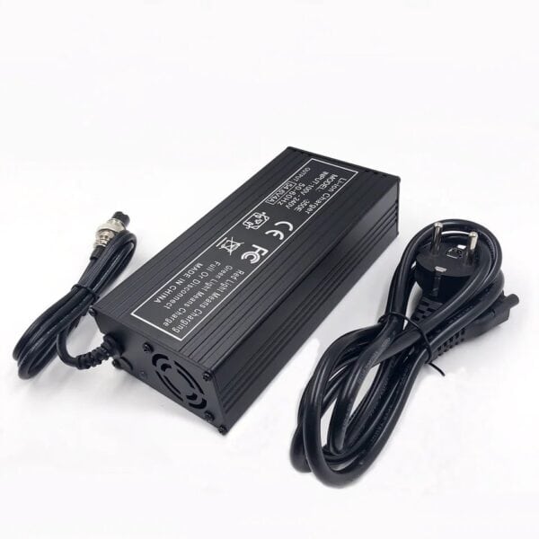 Chargeur rapide 5A : 48v/60v 3 1000029899