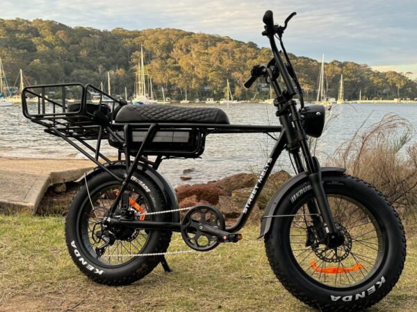 Fatbike 2 places - EB2 ELECTRORIDE 750W (bridé à 250W) 10 1000034308