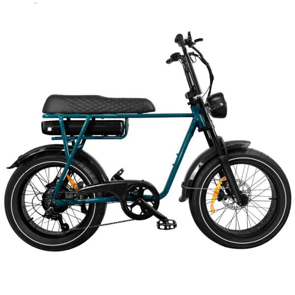 Fatbike 2 places - EB2 ELECTRORIDE 750W (bridé à 250W) 4 1000034506