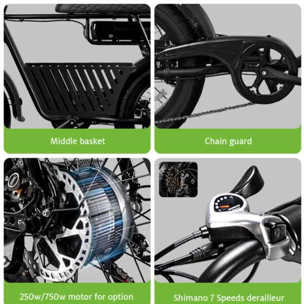 Fatbike 2 places - EB2 ELECTRORIDE 750W (bridé à 250W) 11 1000035066