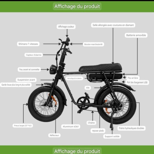 Fatbike 2 places - EB2 ELECTRORIDE 750W (bridé à 250W) 14 1000035070