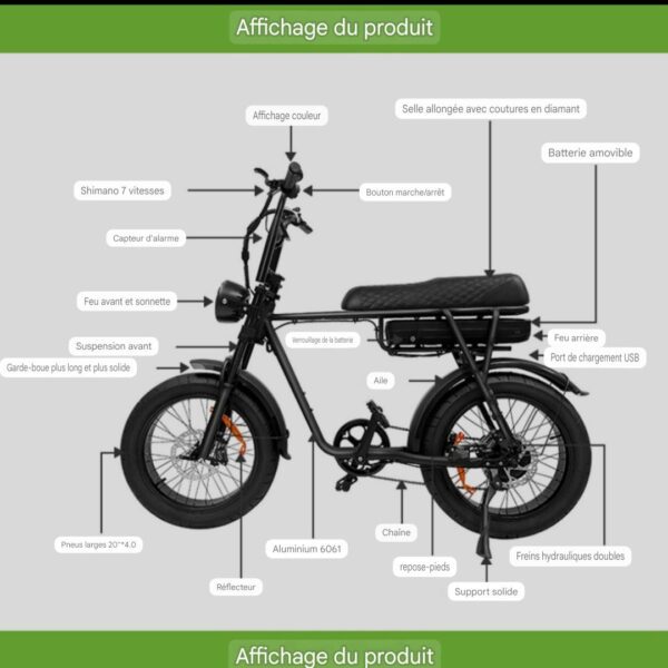 Fatbike 2 places - EB2 ELECTRORIDE 750W (bridé à 250W) 15 ae01ac8a fd1e 41c8 b392 4cf87d55805a 1 all 85326
